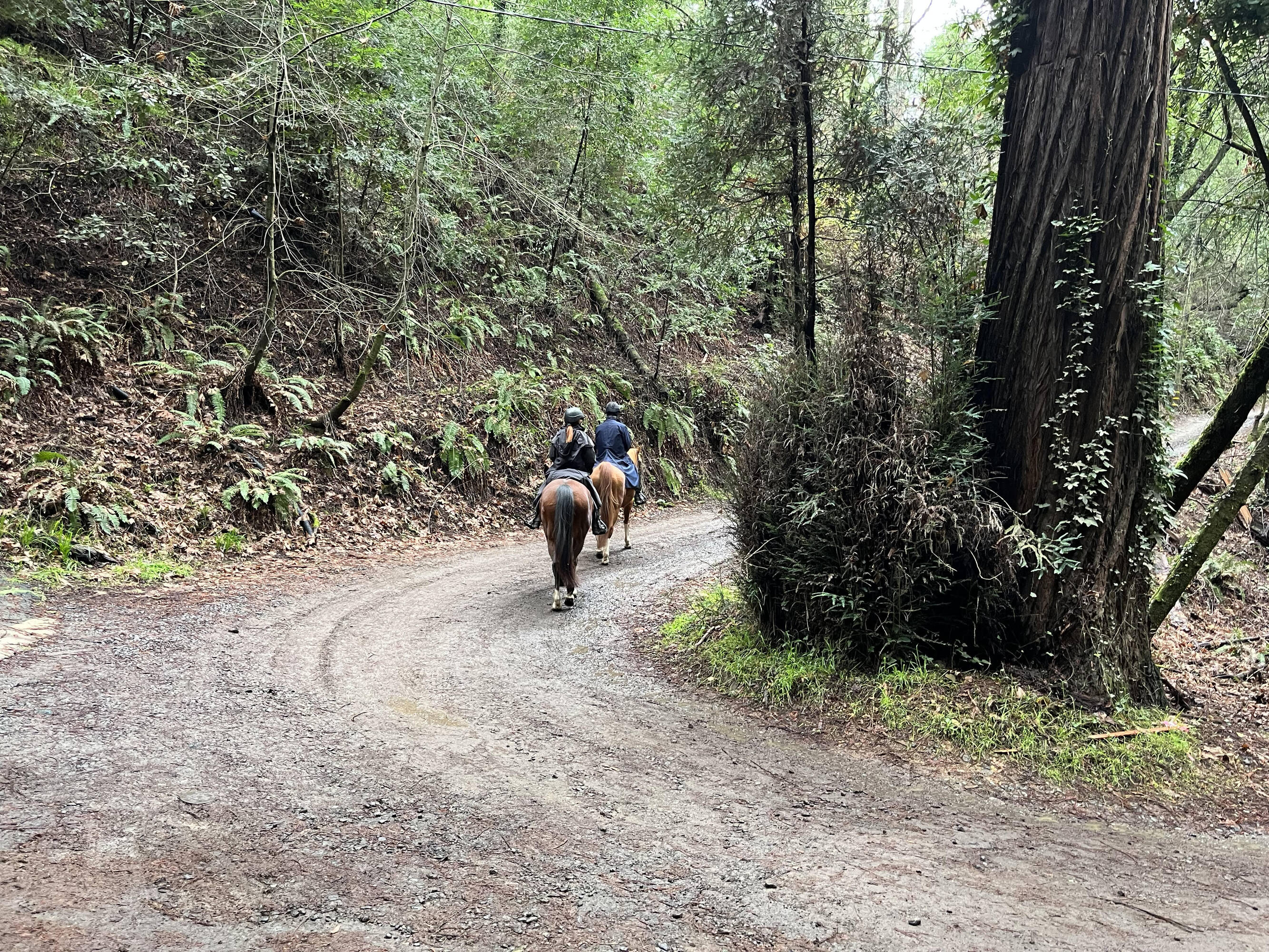 Opportunity/Residential/Land/Sale